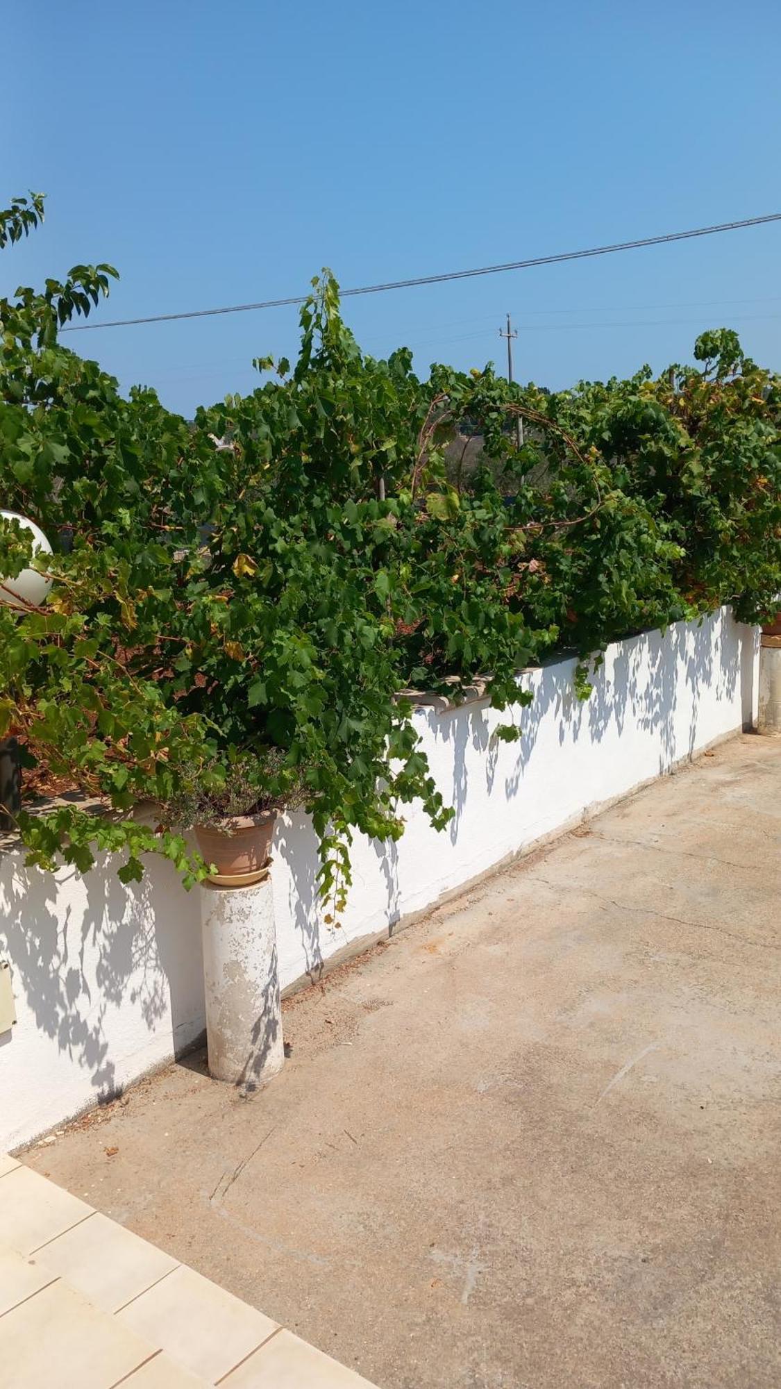 Villetta Balia Corsano  Exterior foto